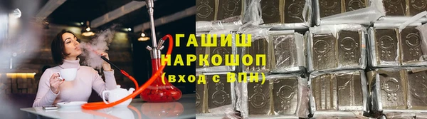 сатива Беломорск