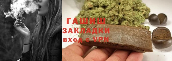 сатива Беломорск