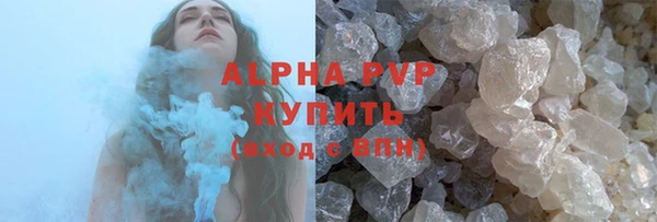 сатива Беломорск