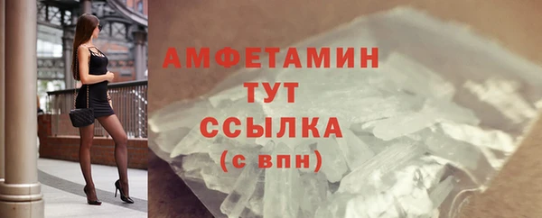 сатива Беломорск
