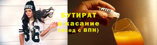 сатива Беломорск