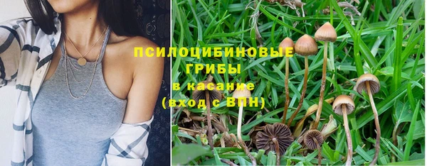 гашик Белокуриха