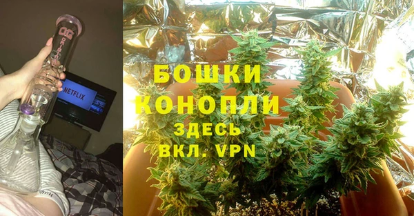 гашик Белокуриха