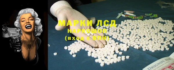 сатива Беломорск
