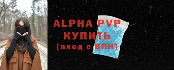 гашик Белокуриха